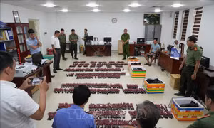 Triệt phá đường dây mua bán trái phép gần 9.300 kíp nổ điện