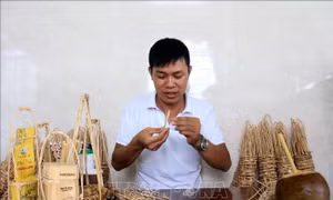 Người trẻ khởi nghiệp, làm giàu từ nông nghiệp