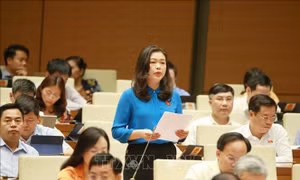Quốc hội thảo luận một số nội dung còn ý kiến khác nhau của dự án Luật Sở hữu trí tuệ