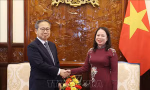 Quyền Chủ tịch nước Võ Thị Ánh Xuân tiếp Đại sứ Nhật Bản chào từ biệt