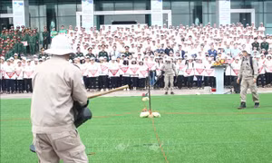 Mít tinh, diễu hành hưởng ứng Ngày thế giới phòng chống bom mìn 4/4