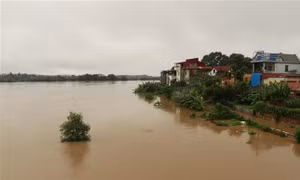 Lũ trên sông Thao đang lên nhanh 