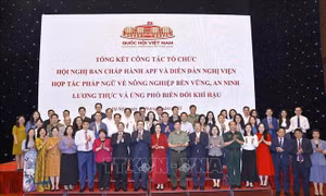 Chủ tịch Quốc hội Trần Thanh Mẫn dự họp tổng kết công tác tổ chức Hội nghị Ban Chấp hành APF