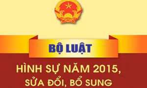 Ban hành Kế hoạch xây dựng dự án Bộ luật Hình sự (sửa đổi)