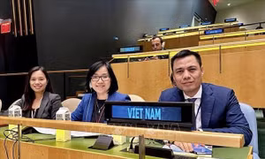 Việt Nam chủ động, tích cực đóng góp vào các nỗ lực thúc đẩy y tế toàn cầu