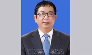 Thủ tướng Chính phủ bổ nhiệm Phó Tổng Giám đốc Thông tấn xã Việt Nam