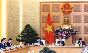 Hoàn thiện dự thảo Quyết định về lựa chọn nhà thầu trong trường hợp đặc biệt