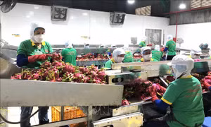 Điểm tựa đưa nông sản Việt vươn xa