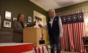 Bầu cử Mỹ 2024: Cử tri tại New Hampshire 'mở màn' cho ngày bầu cử 