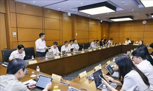 Tháo gỡ tồn tại nhưng không hợp thức hóa sai phạm về đất đai