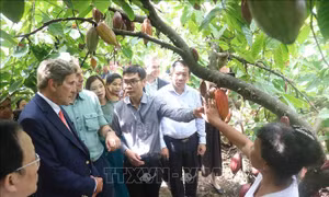 Đặc phái viên của Tổng thống Hoa Kỳ về biến đổi khí hậu làm việc tại Bến Tre