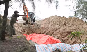 Nghệ An: Phát hiện xác cá voi nặng khoảng hơn 10 tấn trôi dạt vào bờ