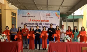 Hỗ trợ sửa chữa 22 trường học bị ảnh hưởng bởi thiên tai ở miền Trung