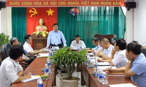 Tập trung xử lý triệt để các cơ sở gây ô nhiễm môi trường nghiêm trọng