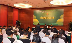 Nông dân cần thay đổi tư duy để có chỗ đứng trên thị trường
