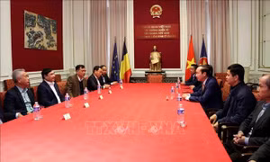 Phó Trưởng Ban Nội chính Trung ương thăm, làm việc với Đại sứ quán Việt Nam tại Bỉ