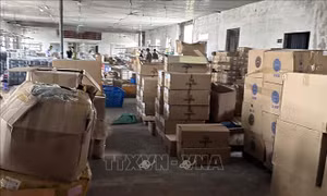 Phát hiện số lượng lớn sản phẩm thuốc lá điện tử nghi nhập lậu