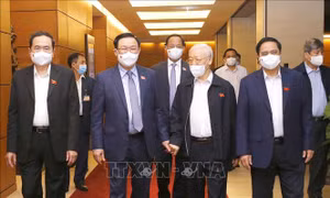 Tổng Bí thư dự phiên thảo luận về công tác tư pháp, phòng chống tham nhũng