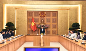 Giáo hội Tịnh độ Cư sĩ Phật hội Việt Nam gắn kết với các hoạt động chăm lo an sinh xã hội