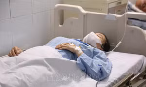 Xử lý nghiêm đối tượng hành hung nhân viên y tế ở Nghệ An