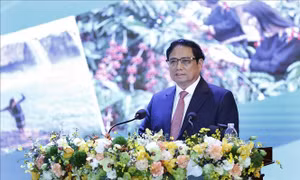 Hội nghị triển khai chương trình hành động thực hiện Nghị quyết 23 về phát triển vùng Tây Nguyên