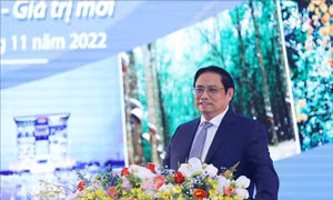 Thủ tướng: Phát triển vùng Đông Nam Bộ với 'Tư duy đổi mới - Đột phá mới - Giá trị mới'