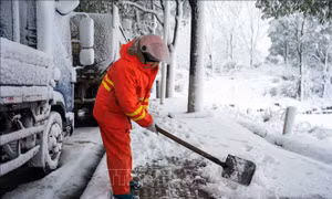 Sự cố gây nhiều thương vong tại hội chợ nông sản ở Trung Quốc