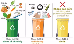 Đưa việc phân loại rác tại nguồn đi vào thực chất