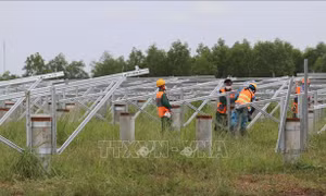 Tăng tốc đóng điện dự án điện mặt trời Lộc Ninh - Bình Phước vào ngày 31/12