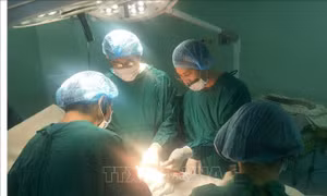 Cứu sống bệnh nhân bị thanh gỗ đâm xuyên đứt toàn bộ tĩnh mạch chậu bên trái