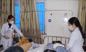 Ngành y tế Hà Tĩnh phát huy giá trị của Đại danh y Hải Thượng Lãn Ông