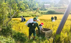 Lính biên phòng bảo vệ vững chắc vùng biên - Bài 2: Đồn là nhà, biên giới là quê hương