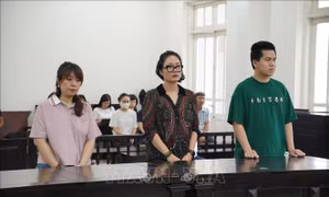 Chủ trang Facebook bán đồ hiệu bị phạt 3 tỷ đồng vì trốn thuế