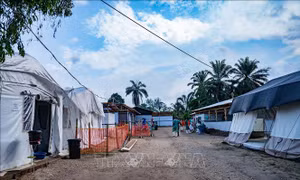 Virus Ebola: Thêm nhiều nước hạn chế đến khu vực bùng phát dịch 