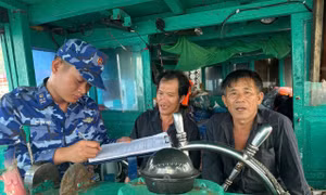 Vi phạm quy định chống khai thác IUU, chủ tàu cá bị phạt gần 400 triệu đồng