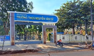 Gia Lai: Buộc thôi việc Phó hiệu trưởng sử dụng bằng giả