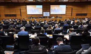 IAEA chuyển vấn đề hạt nhân Iran lên HĐBA LHQ