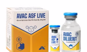 Philippines sắp nhập khẩu tiếp 150.000 liều vaccine dịch tả lợn châu Phi của Việt Nam