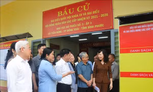 Đồng chí Trần Cẩm Tú kiểm tra công tác chuẩn bị bầu cử tại Bình Phước