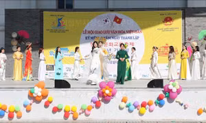 Lễ hội giao lưu văn hóa Việt - Hàn 2024
