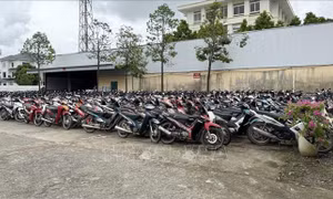 Thanh Hóa: Sớm làm rõ việc bến xe khách Quán Lào thu phí cao xe vi phạm bị tạm giữ