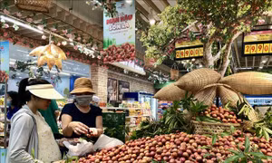Doanh nghiệp liên kết mở rộng vùng nguyên liệu, kênh phân phối