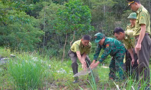 Thả cá thể trăn gấm quý hiếm về môi trường tự nhiên