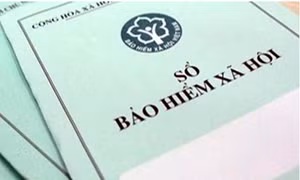 Tây Ninh: Hơn 240 doanh nghiệp nợ BHXH, BHYT, Bảo hiểm thất nghiệp kéo dài 