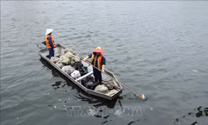 Hà Nội: Khẩn trương thu vớt cá chết trên hồ Trúc Bạch