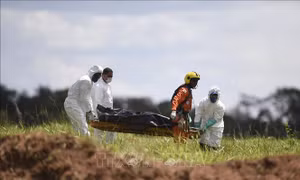 220km đất bị bùn lầy bao phủ sau vụ vỡ đập tại Brazil
