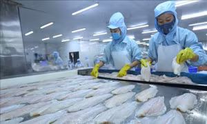 CPTPP: Sản phẩm chế biến sẽ là thách thức của nông nghiệp Việt Nam