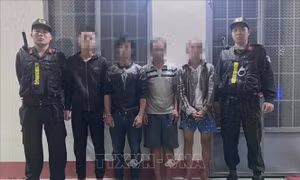 Triệt phá đường dây mua bán trái phép ma túy quy mô lớn