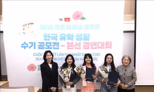 Điểm nhấn trong việc kết nối văn hóa Việt - Hàn