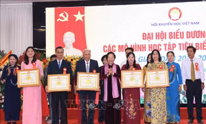 Biểu dương 294 mô hình học tập tiêu biểu toàn quốc giai đoạn 2016 - 2020